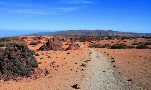 Zdjecie HISZPANIA / Teneryfa / Park Narodowy Teide / Spacer po parku