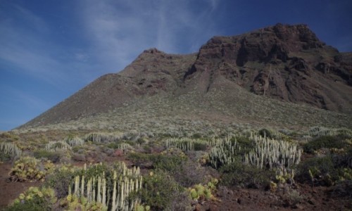 Zdjcie HISZPANIA / Teneryfa / Punta de Teno / Teneryfa, Punta De Teno