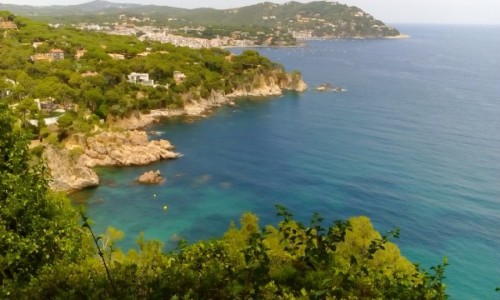 Zdjcie HISZPANIA / Katalonia / Calella de Palafrugell / Costa Brava