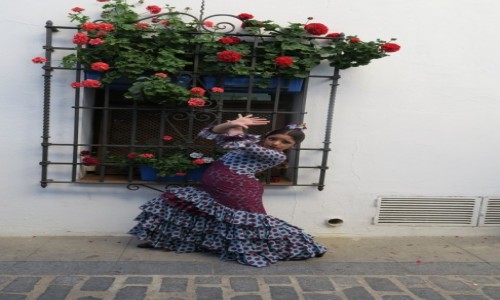 Zdjcie HISZPANIA / Andalusia / Cordoba / Flamenco i kwiaty