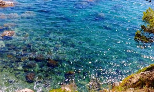 Zdjcie HISZPANIA / Katalonia / Calella de Palafrugell / Morze...