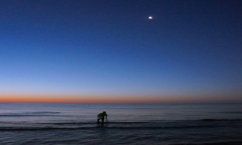 Zdjęcie HISZPANIA / Alicante / . / połów o poranku