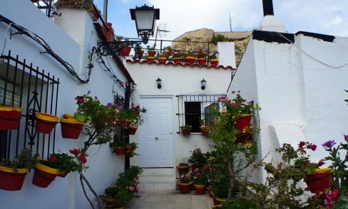 Zdjęcie HISZPANIA / Alicante / . / Patio