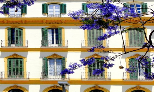 Zdjecie HISZPANIA / Andaluzja / Malaga / Wiosna w Maladze