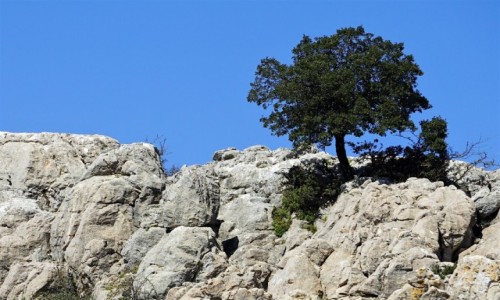 Zdjecie HISZPANIA /  Andaluzja / El Torcal de Antequera / Na kamieniu te uronie