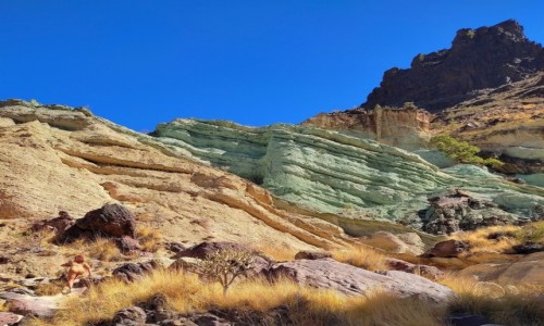 Zdjecie HISZPANIA / Wyspy Kanaryjskie / Gran Canaria / W grach Gran Canarii