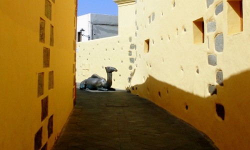 Zdjecie HISZPANIA / Wyspy Kanaryjskie / Gran Canaria / Miasteczka Gran Canarii - Agimes