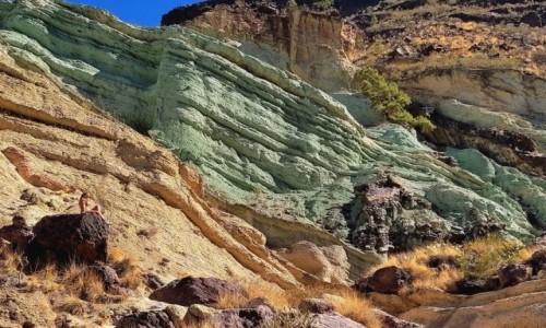 Zdjecie HISZPANIA / Wyspy Kanaryjskie / Gran Canaria / Wtopi si w otoczenie...