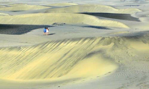 Zdjecie HISZPANIA / Wyspy Kanaryjskie / Gran Canaria / Na Wydmach Maspalomas