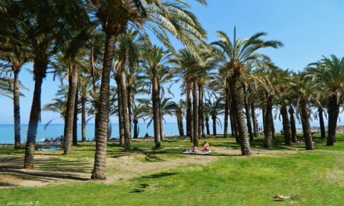 Zdjcie HISZPANIA / Costa del Sol. / Torremolinos. / Plae Torremolinos.