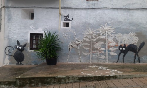 Zdjcie HISZPANIA / Walencja / Xiativa / Kocie fanaberie