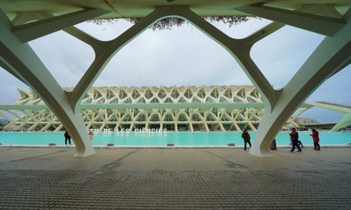 Zdjcie HISZPANIA / Walencja / Ciudad de las Artes y las Ciencias / Muzeum Nauki Ksicia Filipa