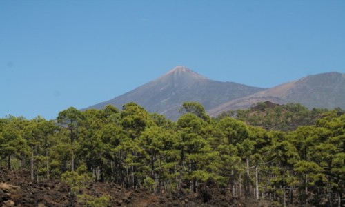 Zdjecie HISZPANIA / teneryfa / teneryfa / teneryfa