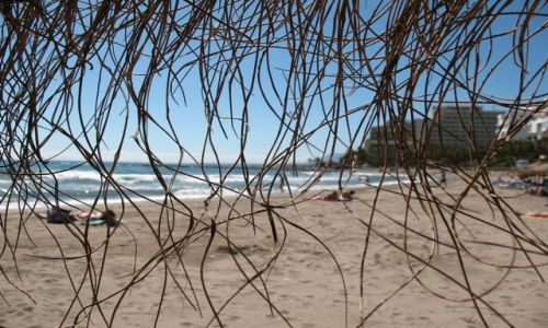 Zdjęcie HISZPANIA / Andaluzja / Marbella / za slomkowym kapeluszem - Marbella