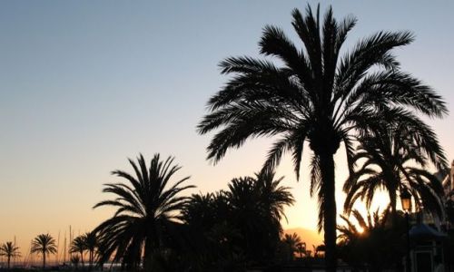 Zdjęcie HISZPANIA / Andaluzja / Marbella / plaża w Marbelii o zachodzie słońca