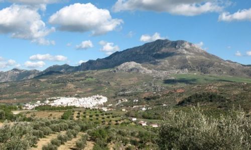 Zdjęcie HISZPANIA / Andaluzja / Alozaina / widok na Alozaine