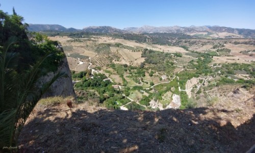 Zdjcie HISZPANIA / Andaluzja. / Ronda. / Widok z Mirador de Ronda.