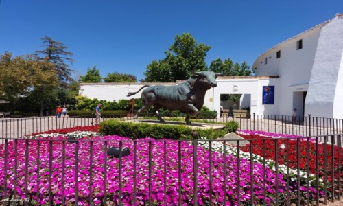Zdj�cie HISZPANIA / Andaluzja. / Ronda - Plaza de Toros.. / Pomnik bykaToro Bravo. na Plaza de Toros.