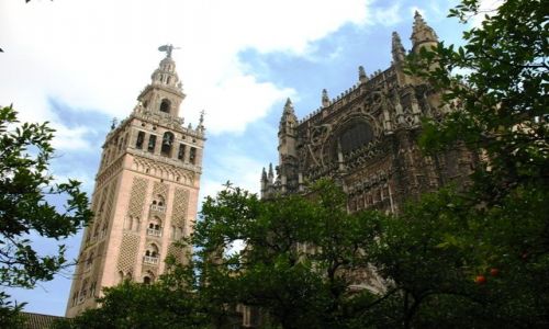 Zdjecie HISZPANIA / Andaluzja / Sewilla / Giralda, katedra i pomaracze