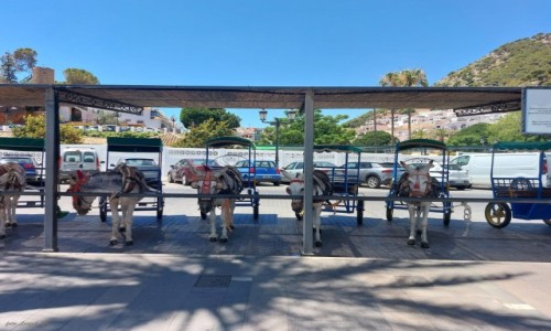 Zdjcie HISZPANIA / Andaluzja. / Mijas, / 
