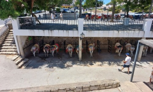 Zdjcie HISZPANIA / Andaluzja. / Mijas, / Wypoczynek w 
