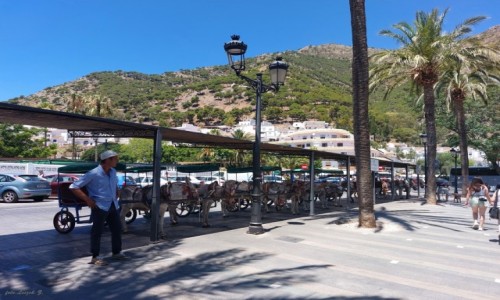 Zdjecie HISZPANIA / Andaluzja. / Mijas, / Ole taxi - klientw brak.