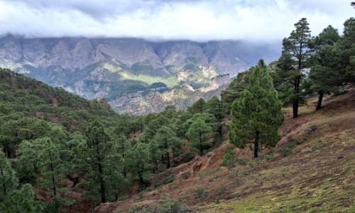 Zdjecie HISZPANIA / La Palma / . / Park Narodowy Caldera de Taburiente