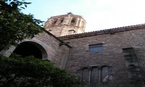 Zdjecie HISZPANIA / Catalunya / Barcelona / katedra La Seu