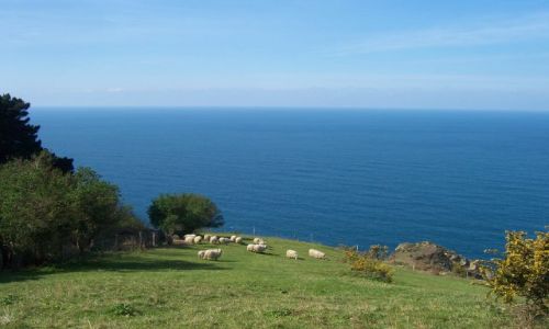 Zdjecie HISZPANIA / Gipuzkoa / Okolice Orio / Camino de Santiago