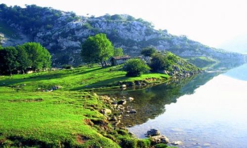Zdjecie HISZPANIA / Asturia / Picos de Europa, Lago Enol / Rozwietlone lipcem