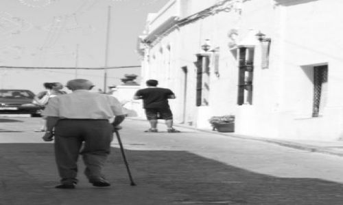 Zdjęcie HISZPANIA / Andaluzja / Jerez / Jerez