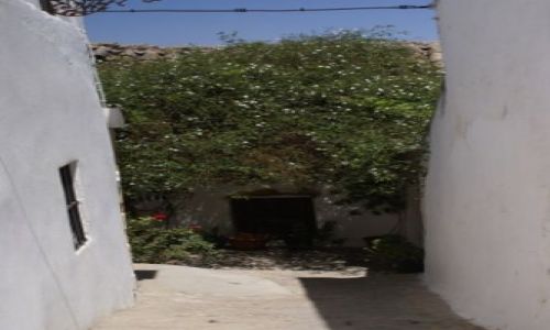 Zdjęcie HISZPANIA / Andaluzja / Jerez / Jerez