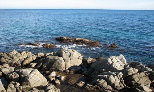 Zdjęcie HISZPANIA / COSTA BRAVA / Calella de Palafrugell  /  Playa Calella