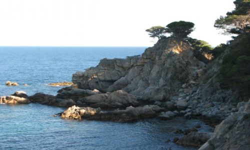 Zdjęcie HISZPANIA / COSTA BRAVA / PALAFRUGELL / Calella de Palafrugell