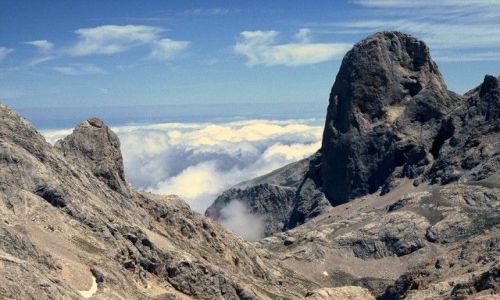 Zdjcie HISZPANIA / Kantabria / Picos de Europa / Oko w oko z zbem