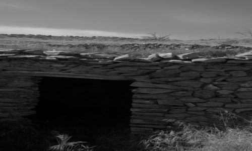 Zdjęcie HISZPANIA / andaluzja / okolice soportujar / owczarnia