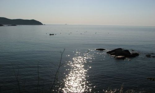 Zdjęcie HISZPANIA / COSTA BRAVA / LA FOSCA / MAR