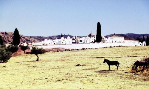 Zdjecie HISZPANIA / Andaluzja / Granada / cmentarz w Andaluzji
