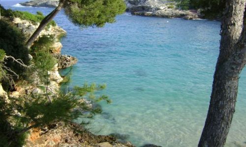 Zdjecie HISZPANIA / Majorka / Cala Esmeralda / Wody Majorki