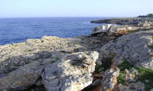 Zdjecie HISZPANIA / Majorka / Cala D'Or / Majorka