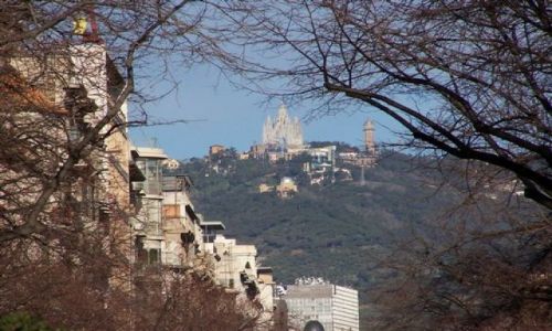 Zdjecie HISZPANIA / Katalonia / Barcelona / BArcelona