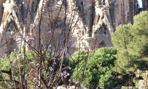 Zdjecie HISZPANIA / Katalonia / Barcelona / GAudi