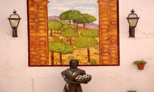 Zdjęcie HISZPANIA / Andaluzja / Alora / drzewa na ścianie