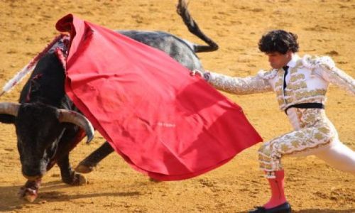 Zdjecie HISZPANIA / La Rioja / Haro / Corrida de toros