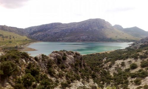 Zdjęcie HISZPANIA / Majora / Majorka / Majorka