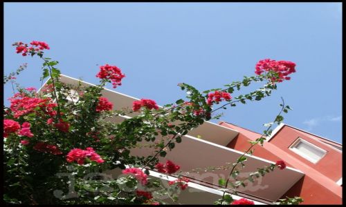 Zdjecie HISZPANIA / brak / Las Palmas / Las Palmas
