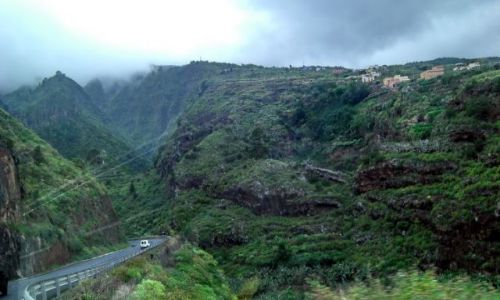 HISZPANIA / La Palma / taburiente / Los Tilos Barranco