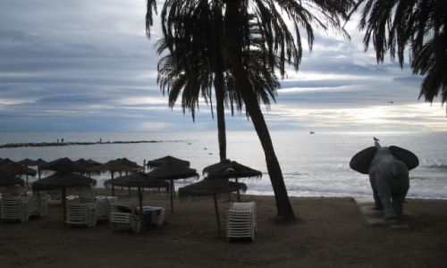 Zdjęcie HISZPANIA / Andaluzja / Marbella / Marbella i słoń:)