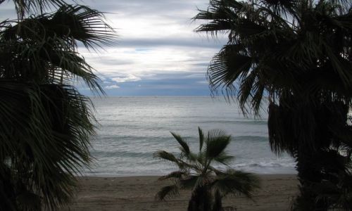 Zdjecie HISZPANIA / Andaluzja / Marbella / Marbella