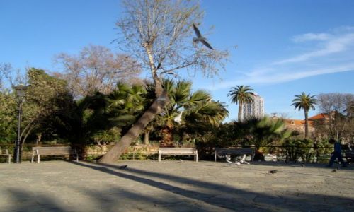 Zdjecie HISZPANIA / Katalonia / Barcelona / wiosna w Barcelonie